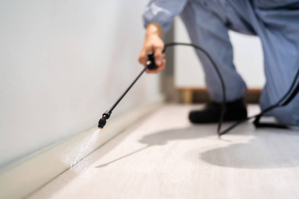 Licensed Pest Control service in Vass, NC - Show Me Pest Control