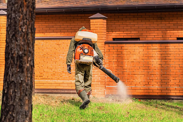 Bed Bug Clearance Verification and Documentation in Vass